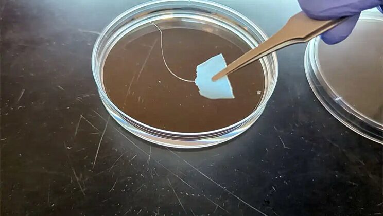 Scientists Create Recyclable Protein Fibers That Dissolve in Seconds—Without Losing Strength