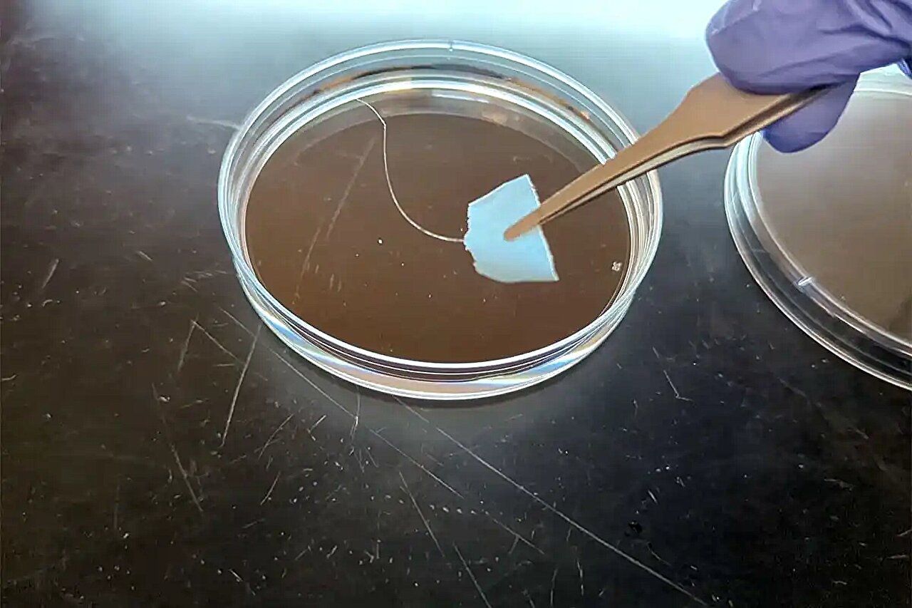Scientists Create Recyclable Protein Fibers That Dissolve in SecondsWithout Losing Strength