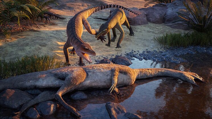 Ancient Disaster Buried Two Croc Cousins Together 210 Million Years Ago