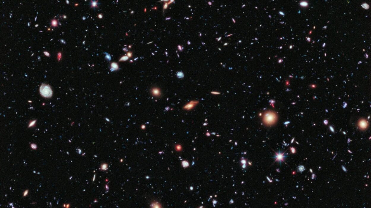 Why Is the Universe So Perfectly Fine-Tuned for Life?