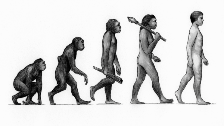 The Famous Human Revolution at 50,000 Years Ago May Never Have Happened