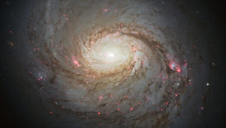 What Is a Spiral Galaxy? The Beautiful Architecture of the Milky Way