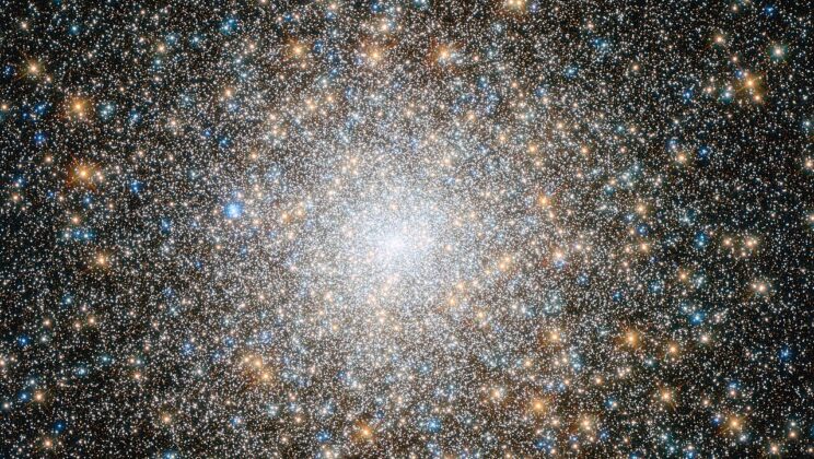What Is a Star Cluster? The Gravity-Bound Families of the Milky Way