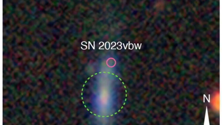 Astronomers May Have Found the Rare Supernova That Completely Erases a Giant Star