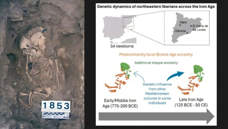 Ancient DNA From Iberian Newborns Reveals 600 Years of Genetic Stability Before Roman Rule