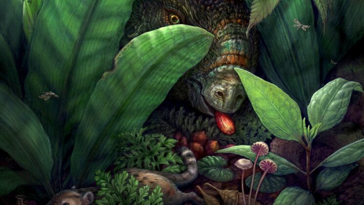 Ancient Fossil Forest Reveals Flowering Plants Ruled Earth 10 Million Years Before the Dinosaur-Killing Asteroid