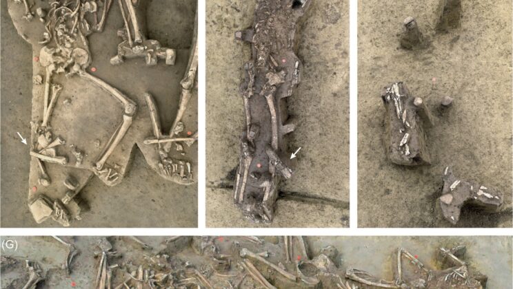 7,000-Year-Old Headless Skeleton Mystery in Slovakia May Not Be Evidence of a Neolithic Massacre