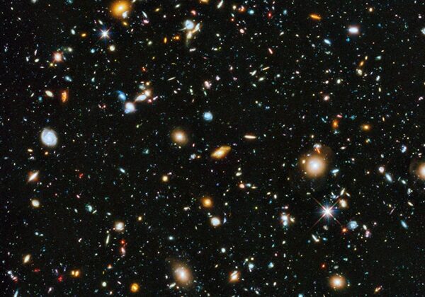 What Is the Future of the Universe? The Big Freeze vs. The Big Rip