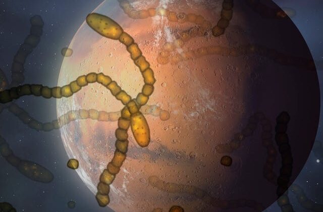 What Is Panspermia? The Theory That Life on Earth Came from Space