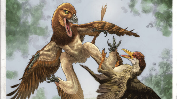 Dinosaur With Four Wings May Have Been the Mystery Predator Behind China’s Ancient Bird Graveyard