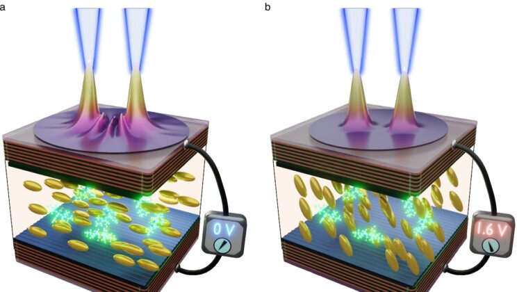Researchers Create Room-Temperature Laser Network That Synchronizes Into One Powerful Light Source