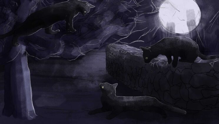The Psychology Behind Superstitions