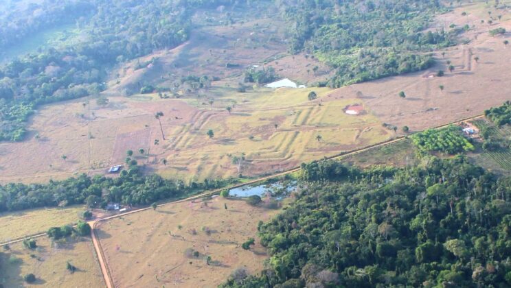 When lasers stripped away the Amazon’s dense canopy, they revealed hundreds of ancient geometric monuments that had been hiding in plain sight for centuries