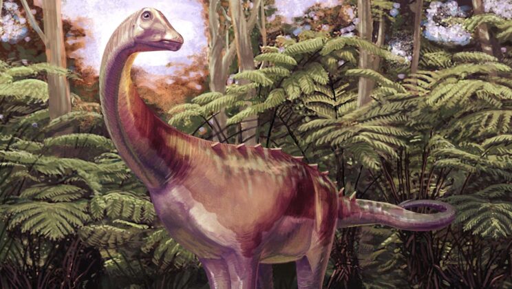 First Dinosaur Fossil Ever Found in Antarctica Officially Identified as a Titanosaur From 82 Million Years Ago