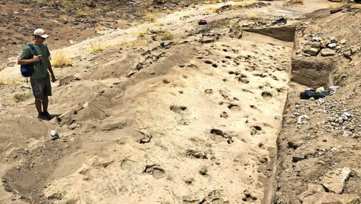 1.43-Million-Year-Old Footprints in Kenya Reveal Surprisingly Large Early Hominins, Unusual Walking Mechanics, and Possible Evidence of Adult Males Traveling Together