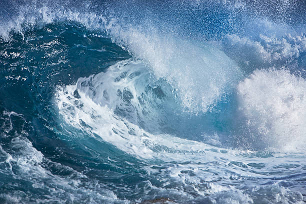 What Is a Wave? Definition, Types, Properties, and Real-Life Examples Explained