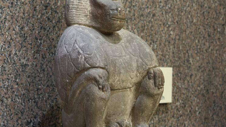 Ancient Egyptians May Have Chosen Sacred Baboons to Represent the Moon God Because Their Fur Reflects Moonlight, Study Suggests