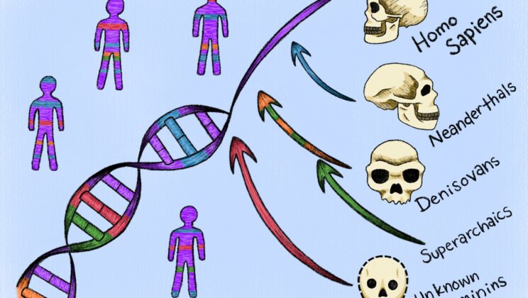 Scientists uncovered traces of two ancient human lineages that left no sequenced genomes behind, yet fragments of their DNA are still being carried by people today