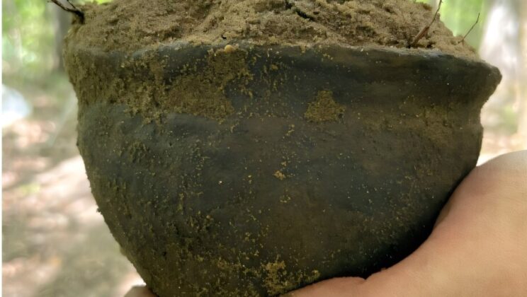 After More Than 7,000 Artifacts, Students Unearth a Palm-Sized Pot Left Whole Inside a Mysterious Spanish-Era Structure in Florida