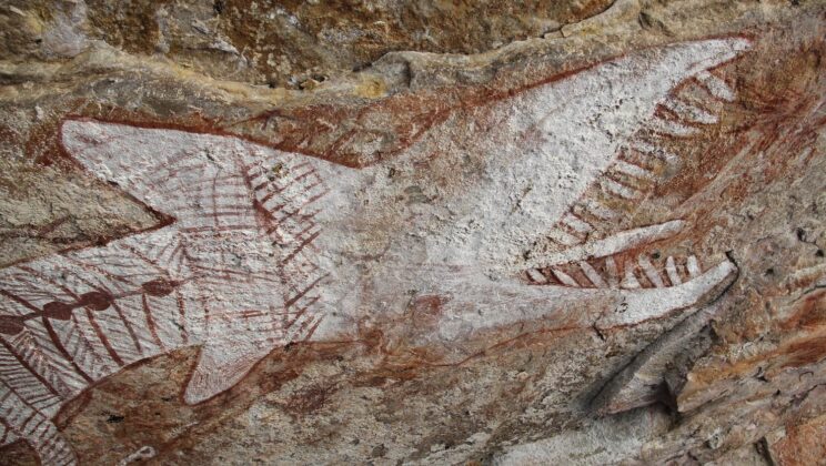 Giant Rainbow Serpents appeared across Arnhem Land as European colonization disrupted Aboriginal life