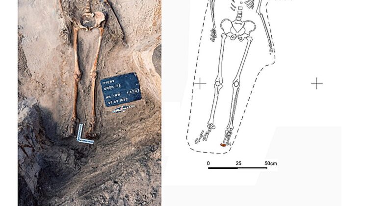 A young woman’s grave was reopened before her body decomposed—and a sickle was placed across her neck