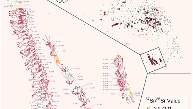 Nearly all of the shackled men in ancient Greek mass graves grew up locally