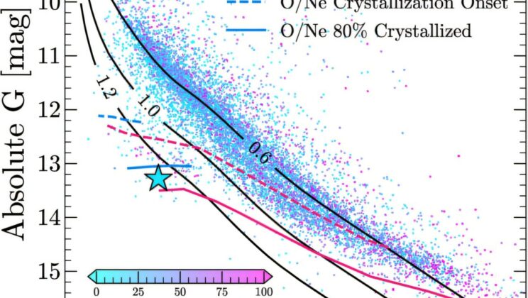 A white dwarf heavier than the Sun may have an oxygen-neon heart hidden beneath its surface