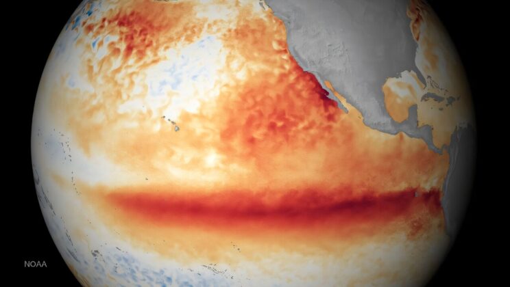 Brightening marine clouds over just 7% of Earth in simulations weakened the 2015–2016 El Niño enough to bring the tropical Pacific close to neutral—but it also hastened the arrival of La Niña