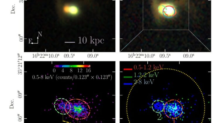 Two actively feeding black holes are growing inside a compact Green Pea galaxy