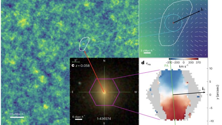Massive elliptical galaxies may still carry the spin imprint of gravity from the universe’s infancy