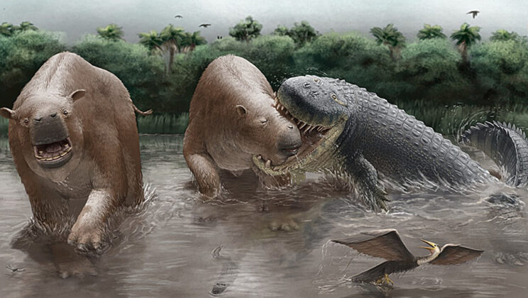 Giant crocodilians left bite marks on 1,800-kilogram mammals 12 million years ago