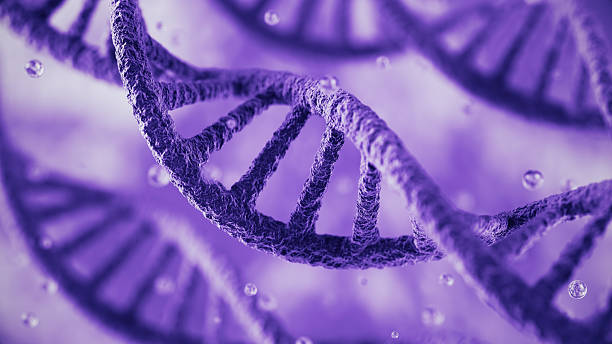 AI model decodes a DNA sequence found in about 60% of human genes