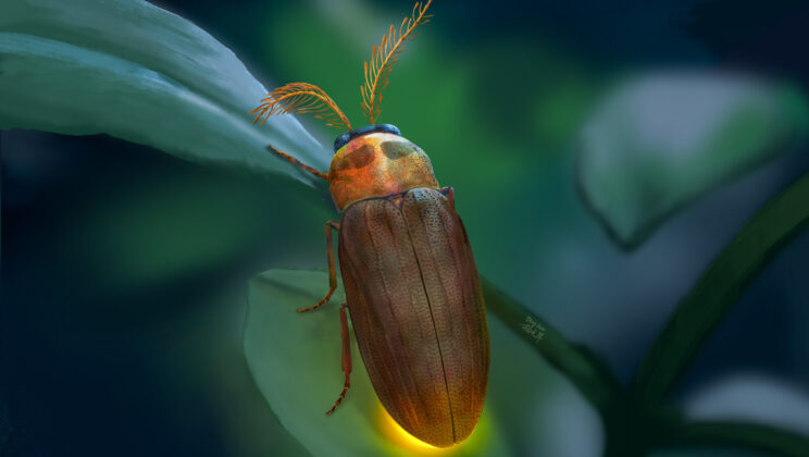 This Cretaceous beetle had antennae unlike any known beetle, living or fossil