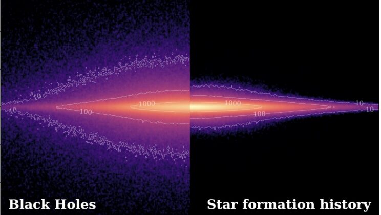 Violent Supernova Kicks Sent Some Milky Way Black Holes Beyond the Galaxy While Others Drifted 2.5 Times Higher Than the Stellar Disk