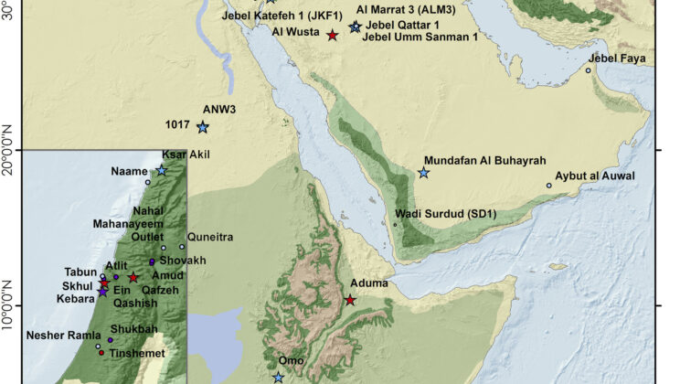 Stone tools suggest Neanderthals may have reached northern Arabia around 55,000 years ago