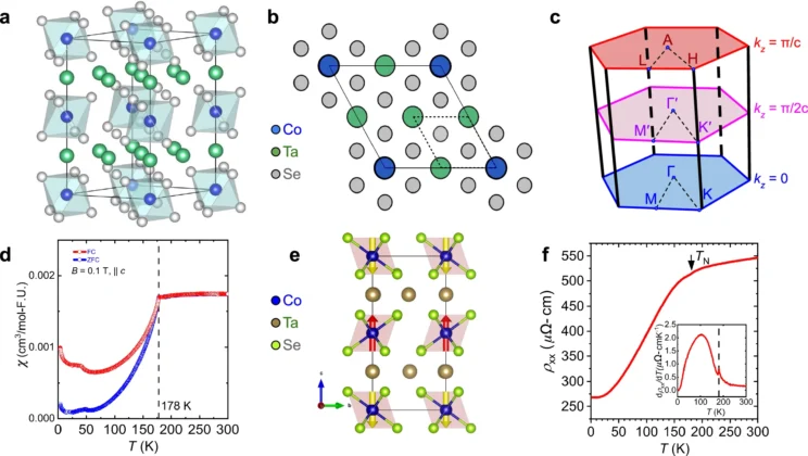 Spin-split bands in Co₁/₄TaSe₂ separate along one momentum direction, merge along another and reverse their spin character across a single pocket
