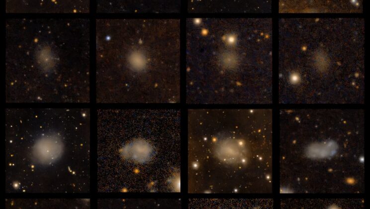 47 faint dwarf galaxy candidates emerge where only four were known before