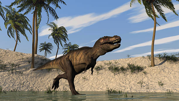 T. rex ran hotter than its Late Cretaceous world, with teeth recording an average body temperature of 36.3°C