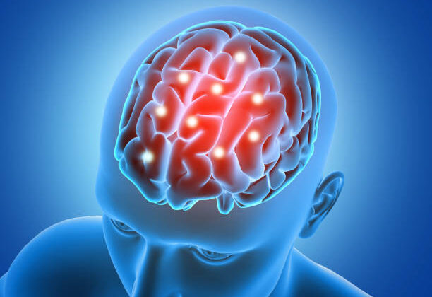 The human brain may have formed by joining two ancient nervous systems