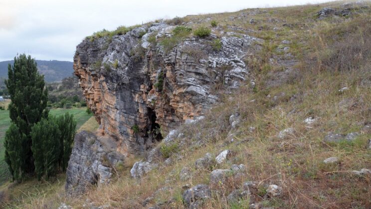 Grass leaves, stems and flowers were deliberately carried deep into an Australian cave and burned