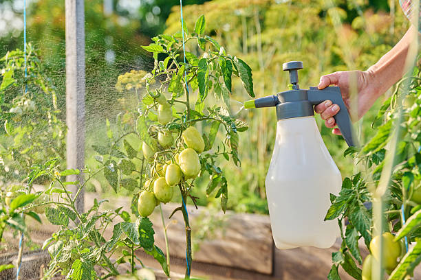 500 chemicals with breast cancer relevance are found in consumer products, food and water